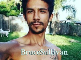 Bruce_Sullivan
