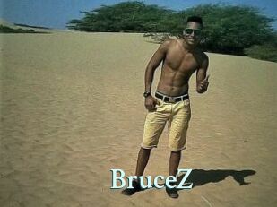 BruceZ