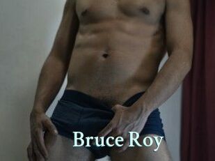 Bruce_Roy
