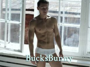 BucksBunny