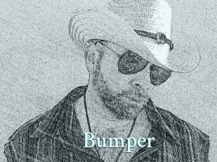 Bumper