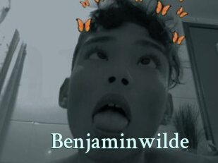 Benjaminwilde