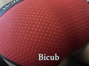 Bicub