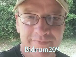 Bidrum209