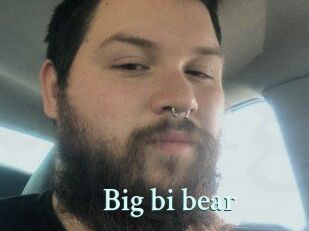 Big_bi_bear