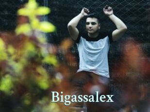 Bigassalex