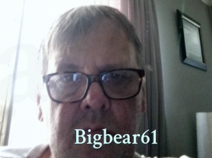 Bigbear61