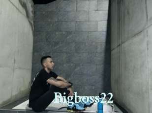 Bigboss22