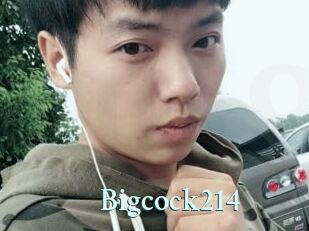 Bigcock214