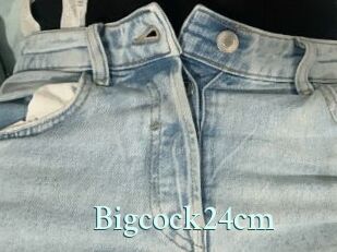 Bigcock24cm