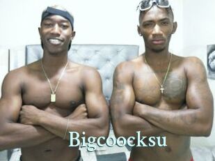 Bigcoocksu