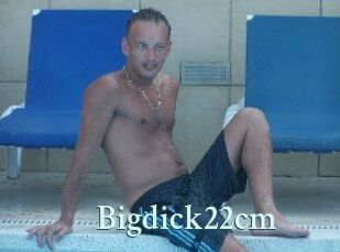 Bigdick22cm
