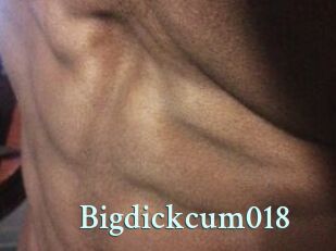 Bigdickcum018