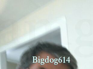 Bigdog614