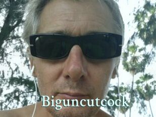 Biguncutcock