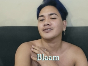 Blaam