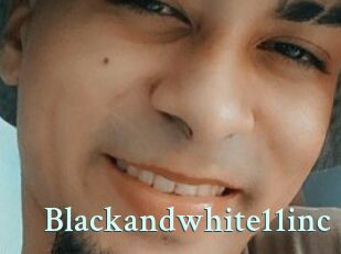 Blackandwhite11inc