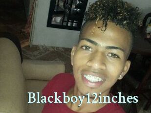 Blackboy12inches