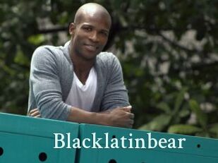 Blacklatinbear