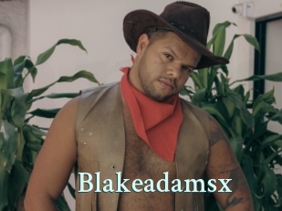 blakeadamsx Ambiance Gay