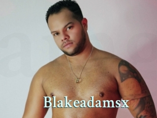blakeadamsx Ambiance Gay