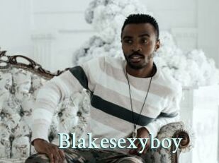 Blakesexyboy