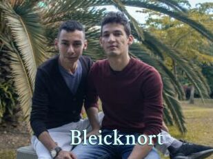 Bleicknort