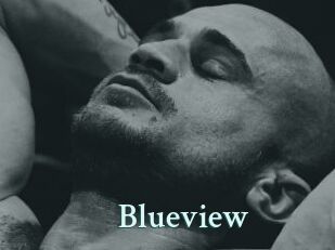 Blueview