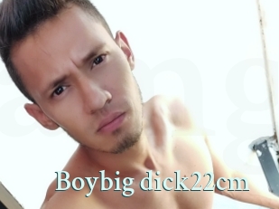Boybig_dick22cm