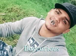 Boycurious