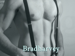 Bradharvey