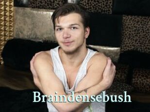 Braindensebush