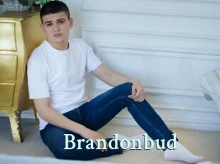 Brandonbud