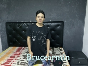 Brucearmin