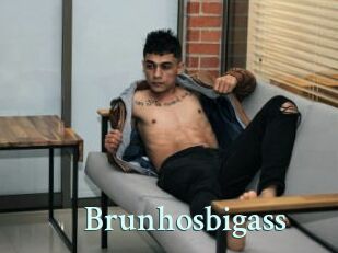 Brunhosbigass