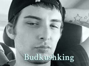 Budkushking