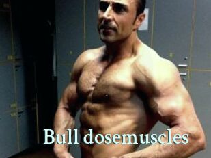 Bull_dosemuscles