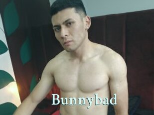 Bunnybad