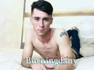 Burningdany