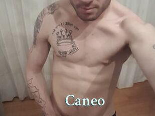 Caneo