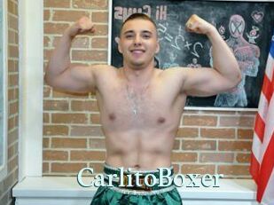 CarlitoBoxer