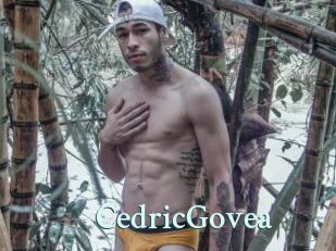 CedricGovea