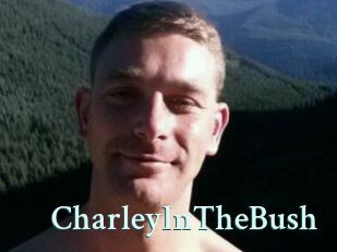 CharleyInTheBush