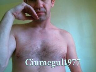 Ciumegul1977