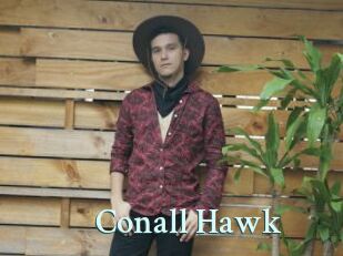 Conall_Hawk