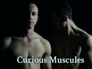 Curious_Muscules