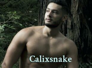Calixsnake