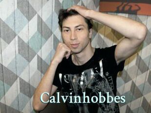 Calvinhobbes