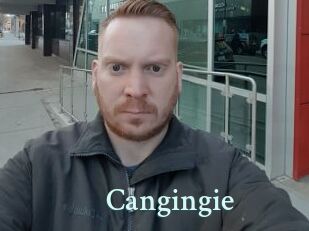 Cangingie