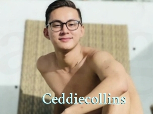 Ceddiecollins